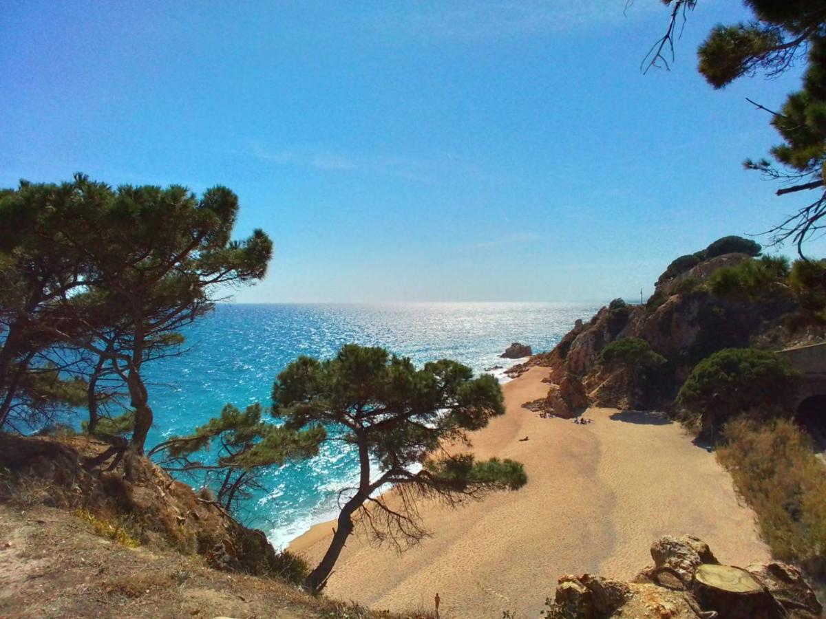 Villa Max Lloret de Mar Buitenkant foto
